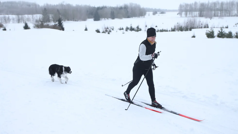 Border collien Toffee tillsammans med matten Malin Ekenberg. Toffee berättar att han tycker det är kul att följa med ut och springa i snön. Det är inga konstigheter att vara ute och springa i två mil. Matte Malin Ekenberg säger att hon tycker är jättehärligt att åka skidor och att hon tränar inför ett lopp. "Jag ska köra Marcialonga nästa vecka", säger hon. 