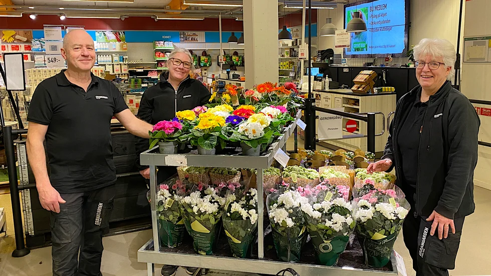 Granngården öppnade igen på tisdagen efter helgens IT-attack. Göran Öberg, butikschef Lotta Nordmark och Christina Fredriksson berättar att butiken är mycket välstadad efter den ofrivilliga stängningen i tre och en halv dag.