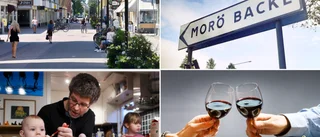 Skellefteå population record: but where are newcomers moving to?