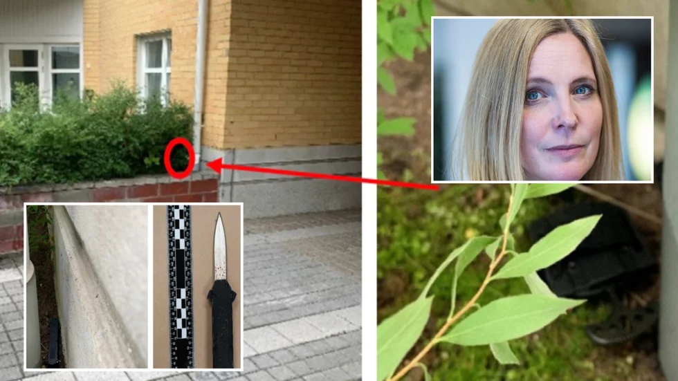 Åklagare Stina Stener menade att Skelleftekvinnan skulle dömas för mordförsök efter knivattacken den 29 juli. Men tingsrätten hade en annan uppfattning och dömer 24-åringen till tre års fängelse för grov misshandel.