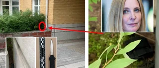 Skelleftekvinna knivhögg arbetskamrat i buken – så blev straffet
