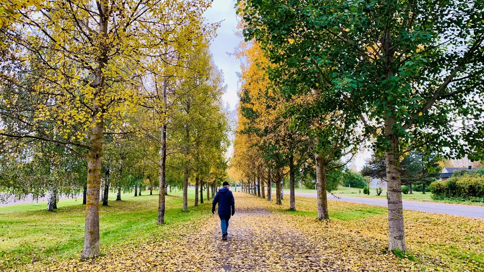 Dagens läsarbild.