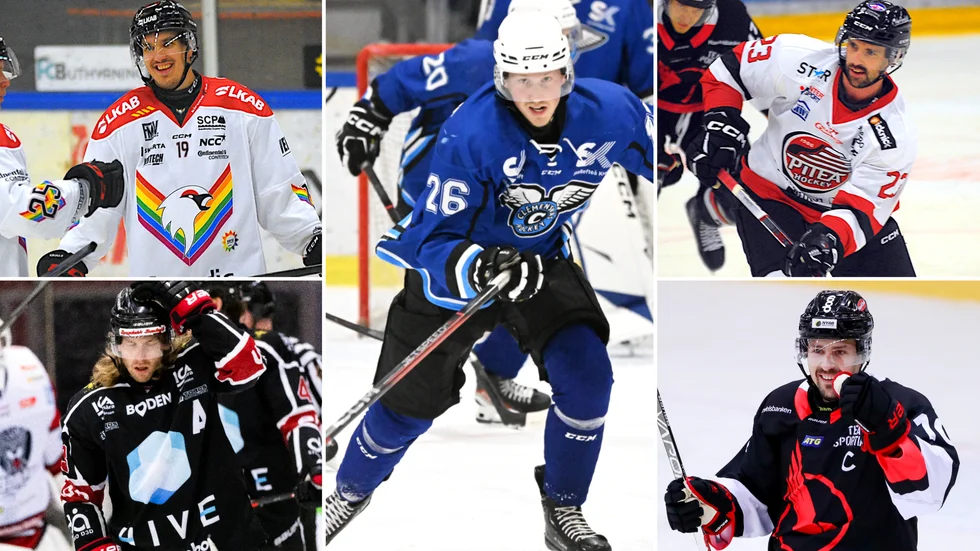 Kiruna IF, Piteå HC, Bodens HF, Kalix HC och Clemensnäs HC spelar i norra hockeyettan den här säsongen.