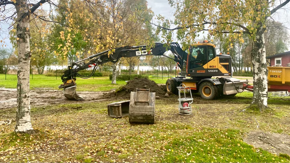 "Har inte förstått hur Piteå kommun tänker eller varför man satsar skattepengar på en hundrastgård?", skriver insändarskribenten. (Arkivbild)