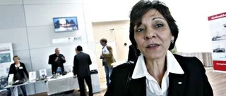 Ambassadörer på besök: Gotland har stor potential