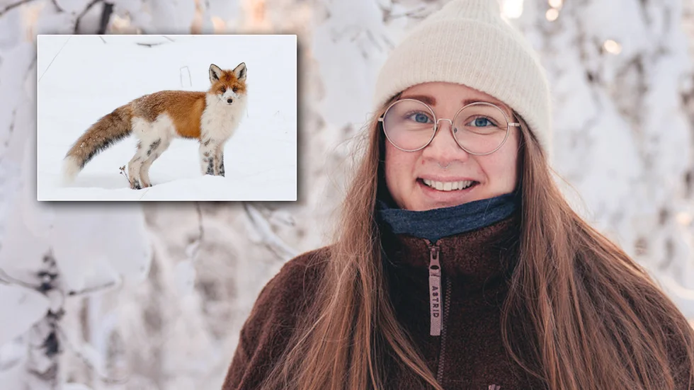 Lotta Nilssons bild av den fläckiga räven har uppmärksammats på många håll i världen.