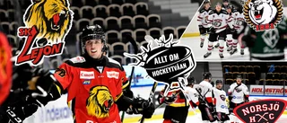 ALLT du behöver veta inför Hockeytvåan – de tippas vinna serien