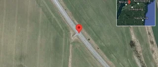 Älg på vägen