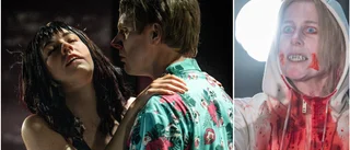 Vampyrer aktiverar alla sinnen och öppnar för tankar