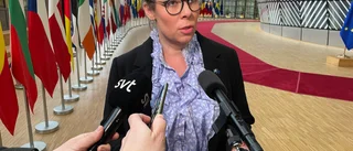 Kortslutning om invandringen på regeringsnivå 