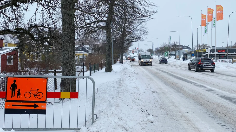Träd som står i allé, alltså fler än fem lövträd i enkel eller dubbel rad, är skyddsvärda och omgärdas av regler och bestämmelser. Därför är det svårt att åtgärda trottaren utan större ingrepp.