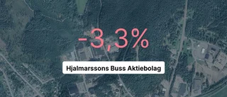 Så gick det för Hjalmarssons Buss Aktiebolag senaste året