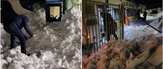 Han klämdes fast under bussen i snöraset: "En jäkla kraft"