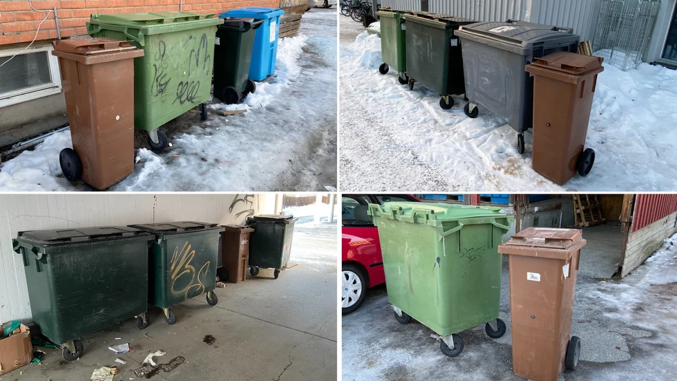 Många små företag sorterar redan matavfall. Norran gick en runda på bakgårdarna i centrala stan, och hittade bruna tunnor på alla ställen.