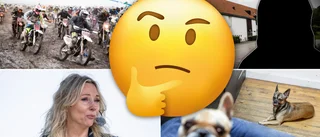 Dags för månadens lokala nyhetsquiz – tävla om trisslotter