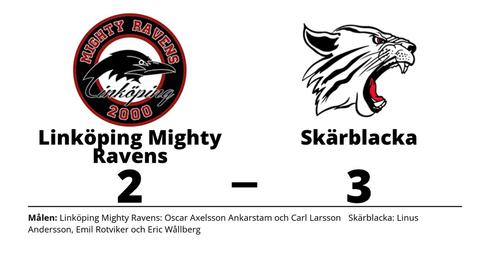 Linköping Mighty Ravens HC förlorade mot Skärblacka IF