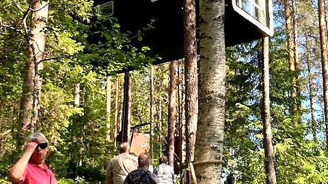 Bodens demensförening besökte Treehotel i Harads.