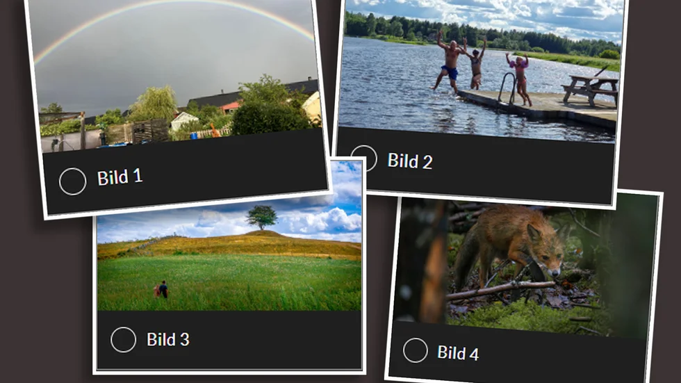 Vilken är årets bästa sommarbild? Rösta här!