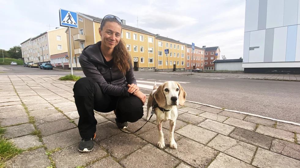 Bentley är hemma igen och nu äter han upp sig efter skogsdygnen. 