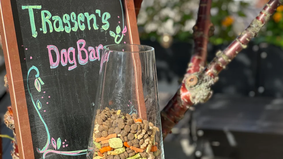 T.Rassens hundbar.