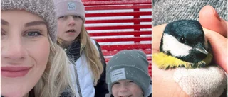 Little bird, big surprise: local family's feathery find