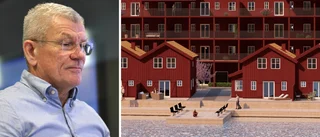 Bilderna: Så ska planerade bostäderna i Tegelviken se ut