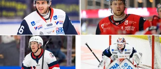 VIK:s 50 bästa i Hockeyallsvenskan: plats 10-1