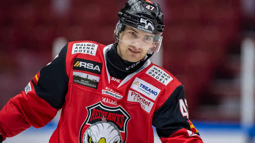 Tidigare Malmö-spelaren Adam Johnson blev 29 år. Han dog på lördagskvällen efter att en skridskoskena skurit hans hals under en hockeymatch.