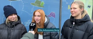 TV: Vilken är den bästa julfilmen?