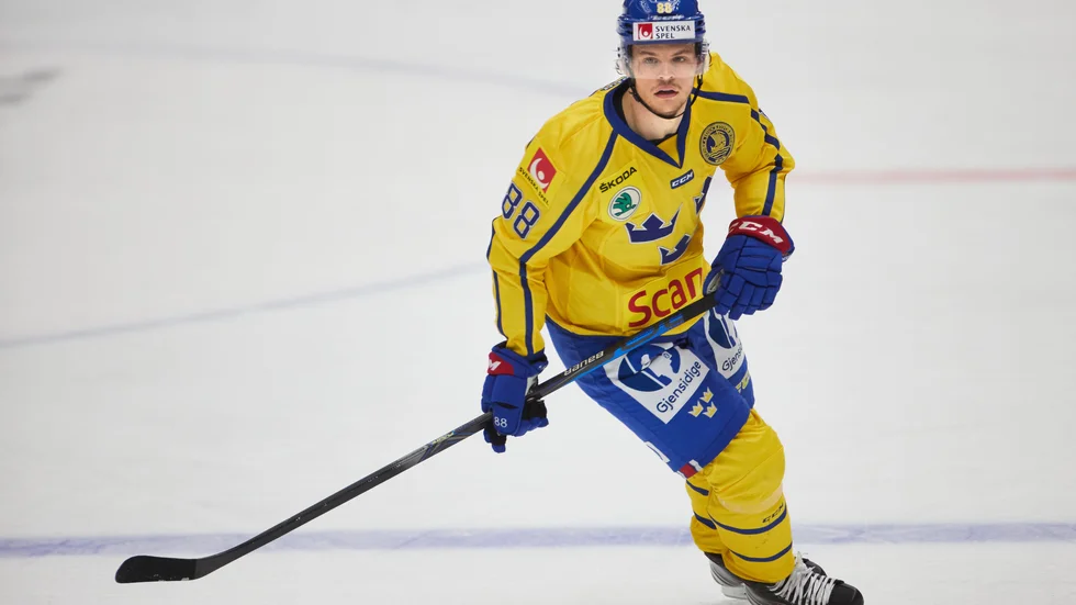 Malte Strömwall. Arkivbild.