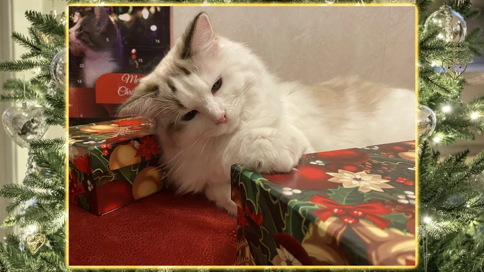 undefined