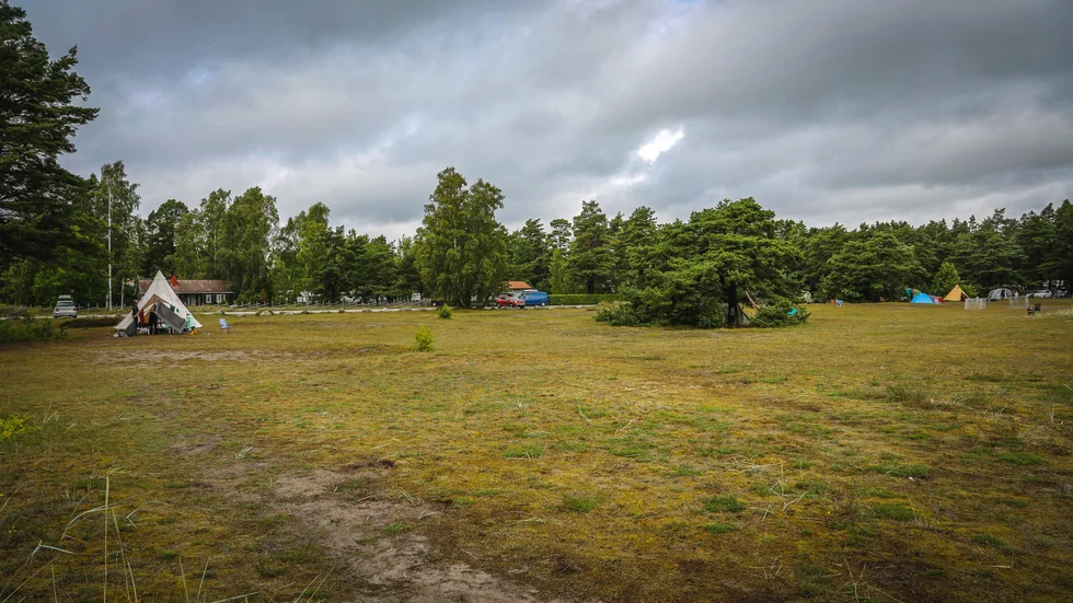 Det är den här delen av strandängen, mellan Badvägen och Gardbergs väg, som är aktuell i debatten.