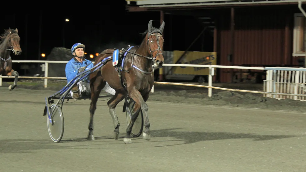 Vitsandsekipaget OK Nalan - Gunnar Bertilsson styr kosan mot Bergsåkers V75-omgång lördag