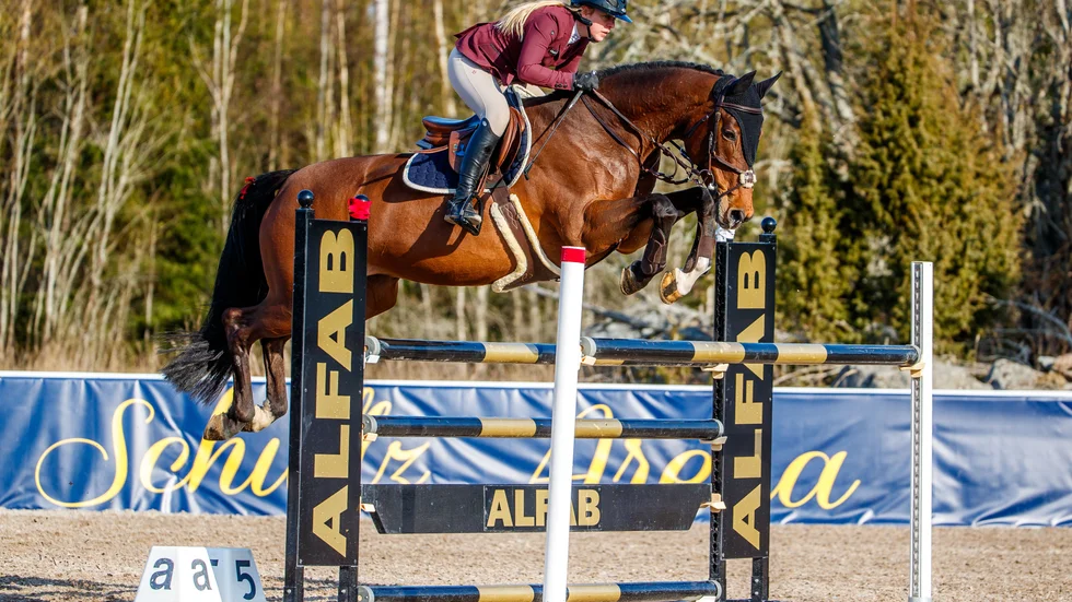 Emmie Jansson, Enköpingsnäs Ryttarförening och hästen Maja 757 red felfritt i båda rundorna och kom trea i 1,45-hoppningen elit vid Sundbyholm Spring Tour.