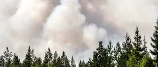 Så hjälps vi åt att undvika skogsbränder
