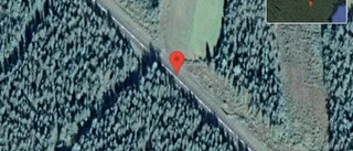 Lastbil stillastående på väg 95 - vägen är helt avstängd