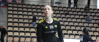 "Endre ska vara med i de här sammanhangen"