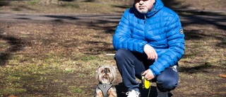 Så här tänkte några hundägare när de valde hundras