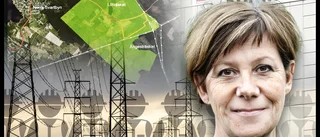 Hoten mot jätteprojektet: "En stor utmaning"