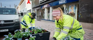 De får centrum att blomstra till påsk