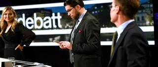 Vem ska skriva en vitbok åt Åkesson?