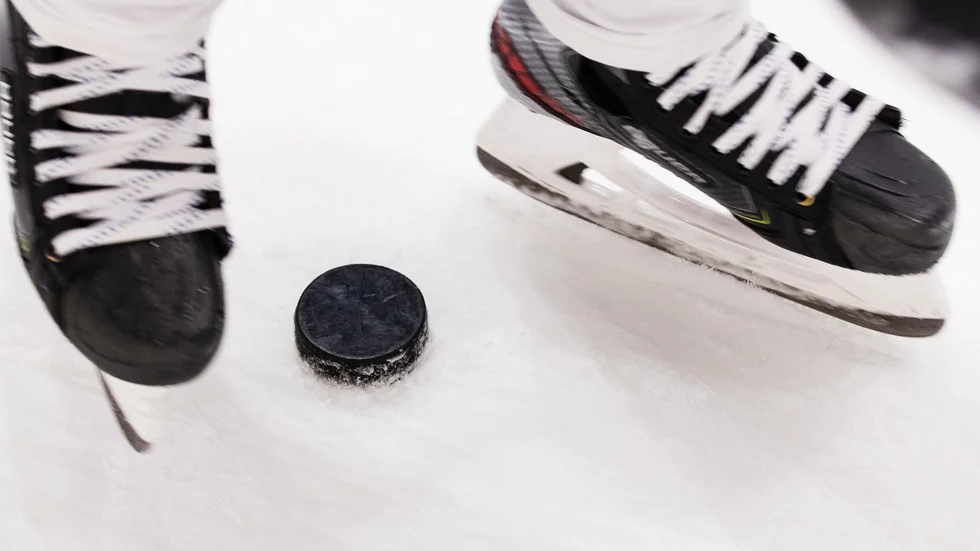 TV-pucktränaren Berhard Kaminski kallade lagets träningar för "pussyhockey" och har nu lämnat sina uppdrag.