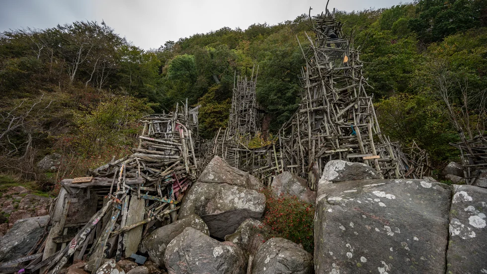 Lars Vilks träskulptur "Nimis" i Kullabergs naturreservat behöver allmänhetens hjälp. Arkivbild.
