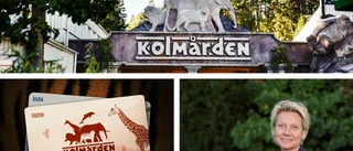 Här är glädjebeskedet för Kolmården: "Ett kvitto på att vi gör rätt saker"