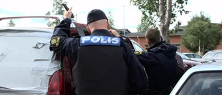 De larmar om rumänska smuggelhundar: "Försökt sälja dem för 5 000 kronor"