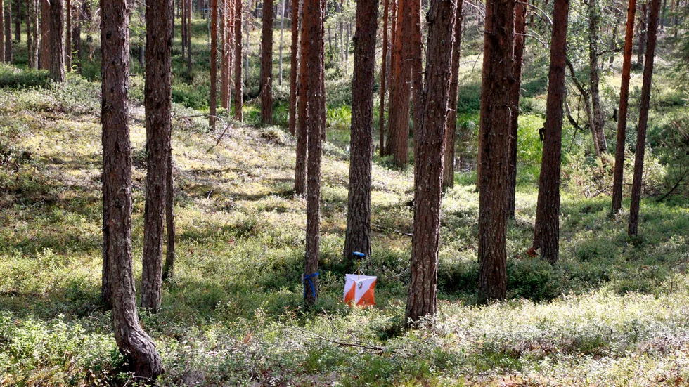 Denseln vann Ärla.