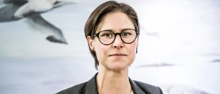 Varnar för radioaktiva ämnen i Öregrundsgrepen