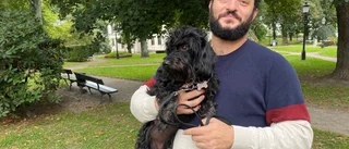 Kärleken fick Teli att flytta från Australien till Nyköping: "Det bästa här är svampen i skogen"