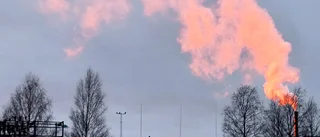 Läsarbilden: Haparanda i eftermiddagsljus