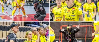 TV • Endre förlorade hemma mot Pixbo • "Vi kommer inte riktigt upp i vår högsta nivå"